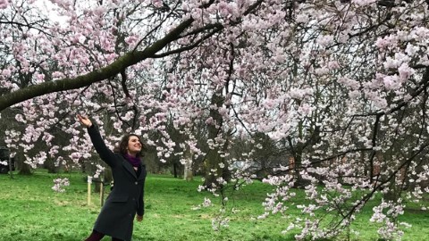 倫敦的春天！ 當地人賞花散步 3 熱點